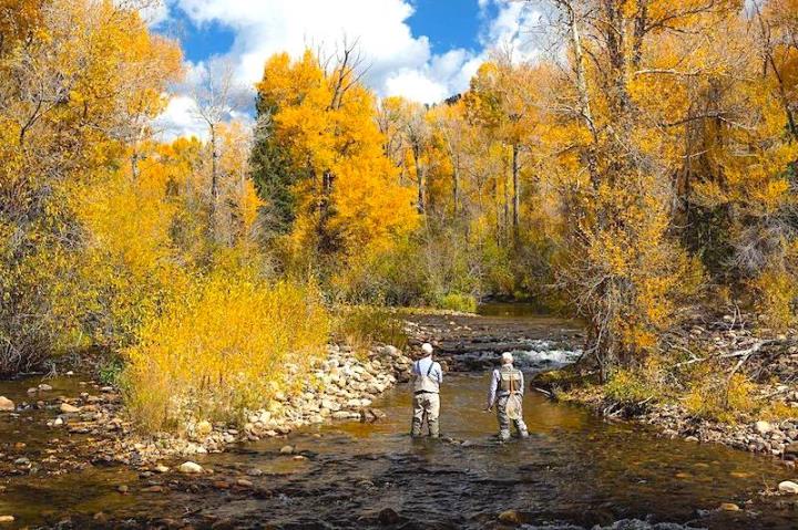 two people fishing in a river surrounded by golden trees
