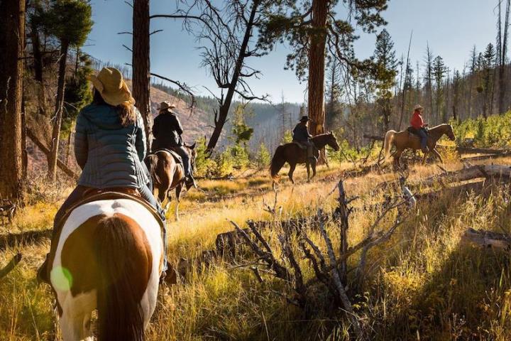 People riding horses through wilderness