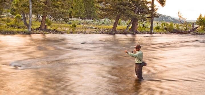 Person fishing in river