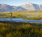 Fly fishing